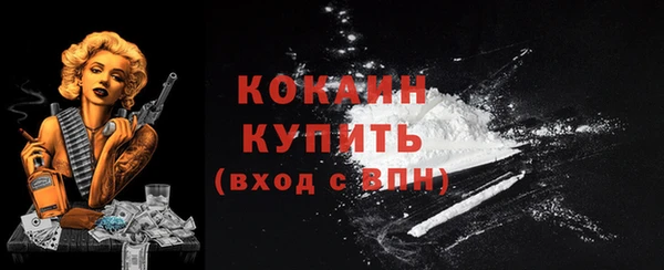 кокс Белокуриха
