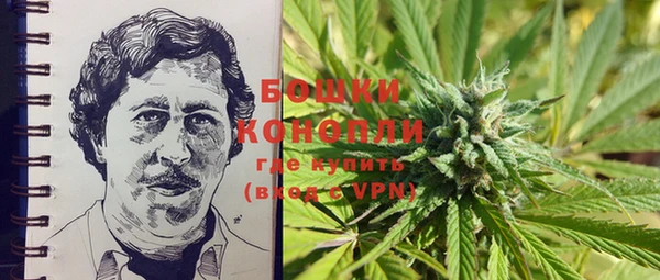 кокс Белокуриха