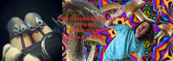 кокс Белокуриха
